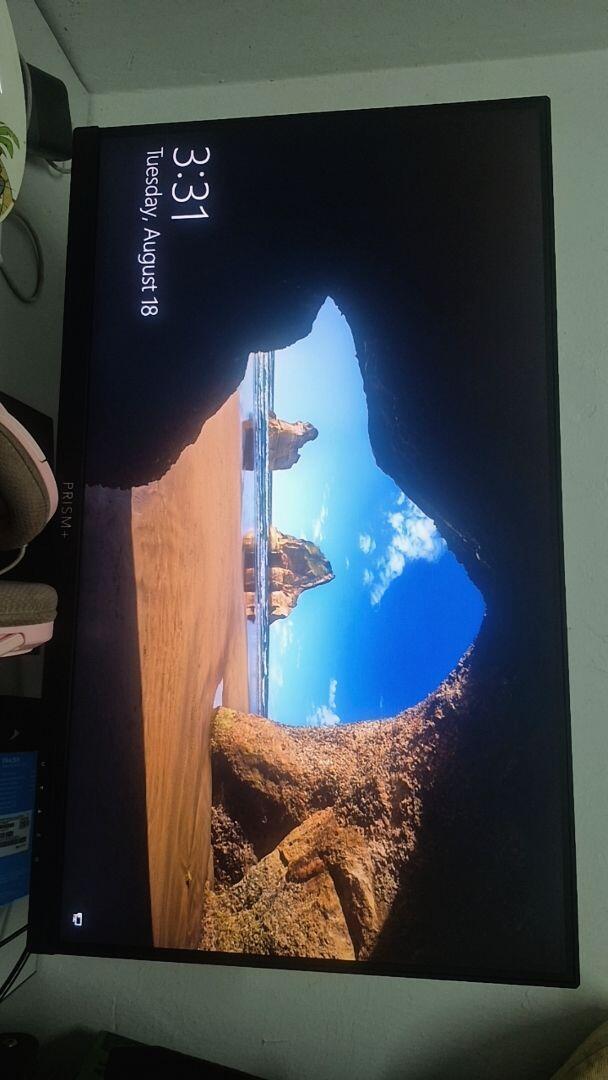 User picture
