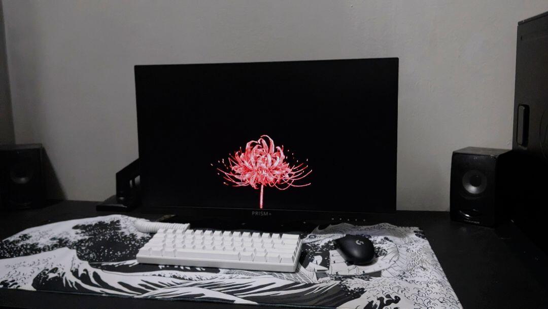 PRISM+ W250