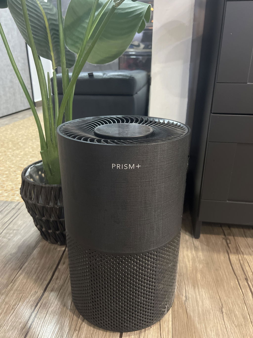 Vortex Replacement Filter