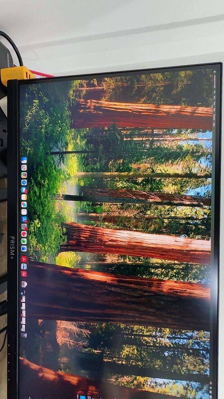 User picture
