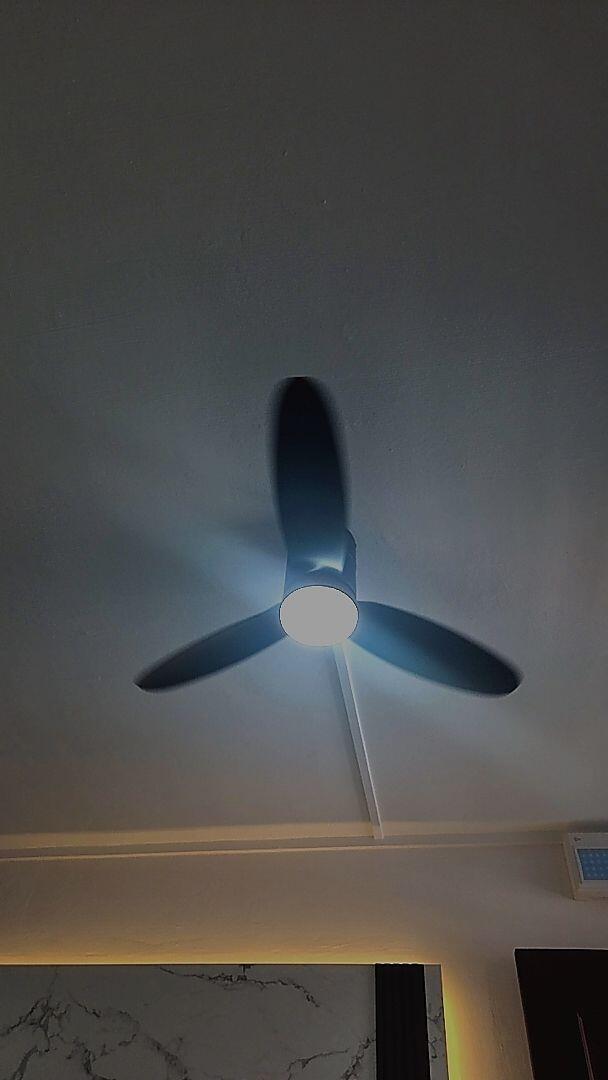 syaishine review photo