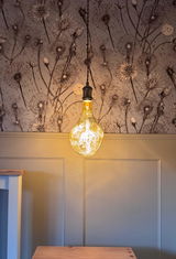 Julie Kimber review photo