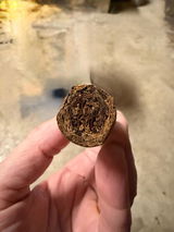 RobV review photo