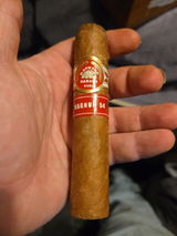 Michael Ross review photo