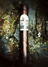Greg Hines review photo