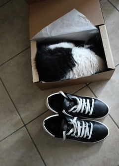 Review picture
