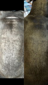 Suzanne S. review photo