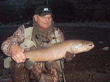Glenn Buscher review photo