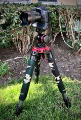 Don Matthews review photo