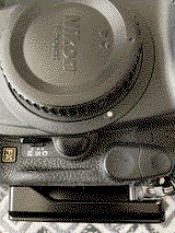 Luca Mariz review photo