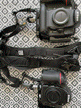 Luca Mariz review photo
