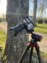 Cliff Billingsley review photo