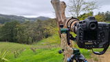 Gregory Cramond review photo