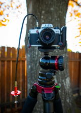 Fred Schwab review photo
