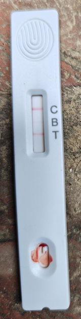 Vipin Trar review photo