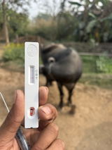 Neeraj Dalka review photo