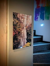 Miro review photo