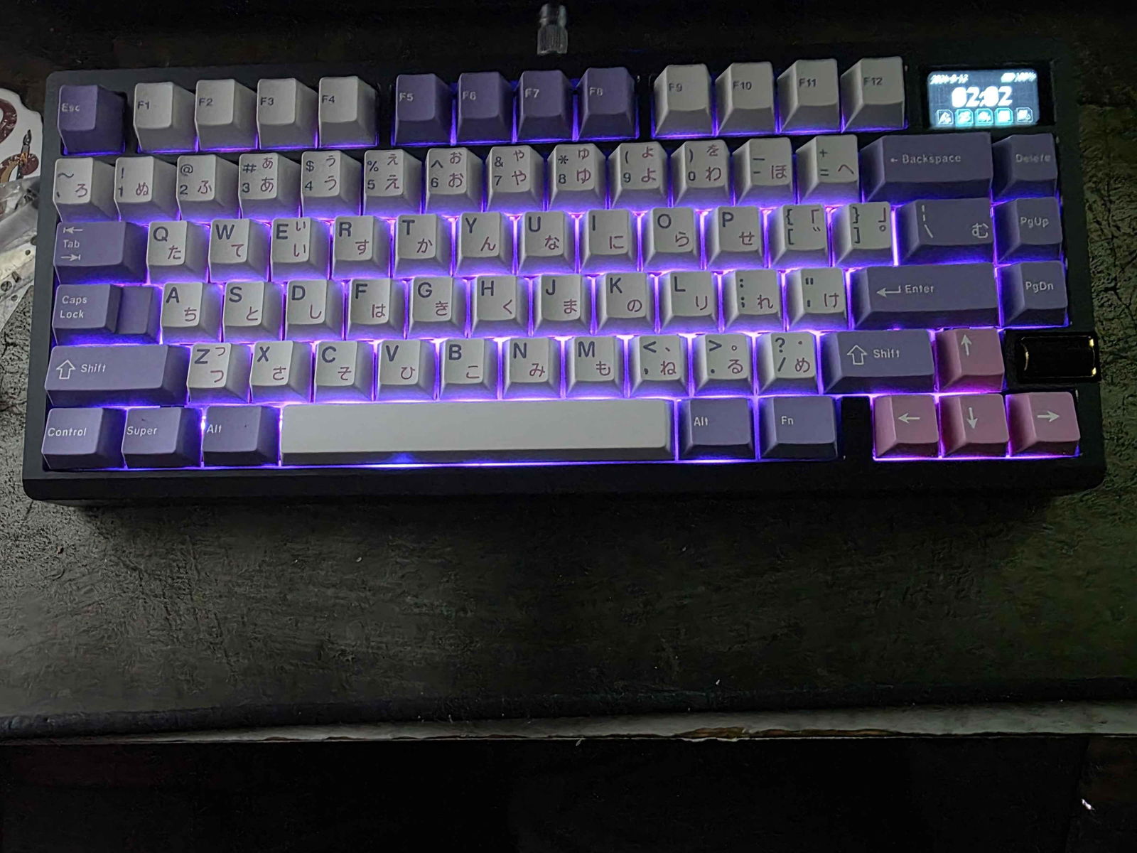 In Stock) JTK Hanami BBox60