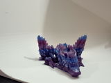 Bryce S. review photo