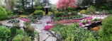 Debra C. review photo