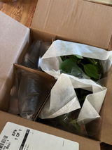 Jamie review photo