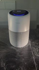 Elizabeth ryder review photo