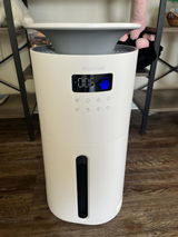 Yann Z review photo