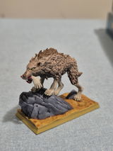 Grant O'Dwyer review photo