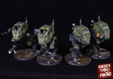 Merl review photo
