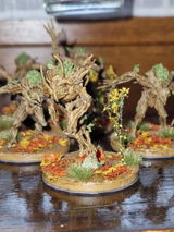 Haven review photo
