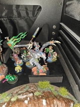 Vern review photo