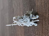 Reilly review photo