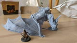 Aron review photo