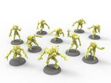 Armand review photo