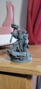 Ervin review photo