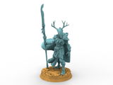 Vladimir review photo
