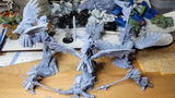 Chaz review photo
