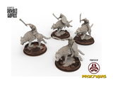Maximus review photo