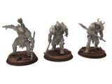 Maximus review photo