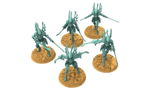Alexander review photo