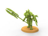 Augustus review photo