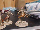 Seth review photo
