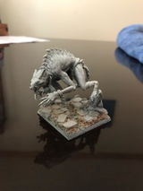 Scot review photo