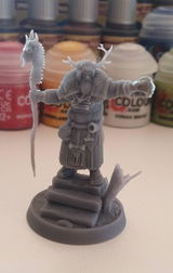 Brice review photo