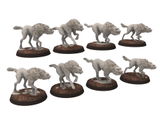Ari review photo