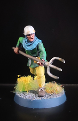 Prophet review photo