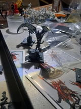 Darion review photo