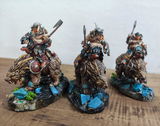 aru review photo