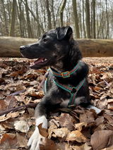 Anneke review photo