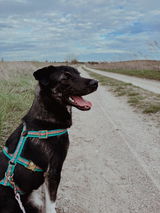 Anneke review photo